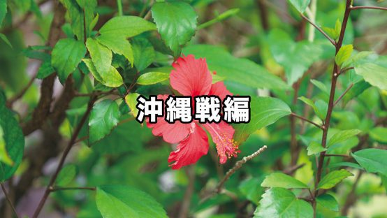 平和への願いをこめて 沖縄戦編