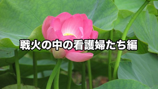 平和への願いをこめて 戦火の中の看護婦たち編