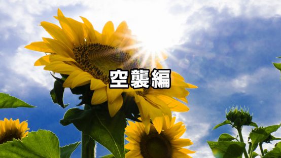 平和への願いをこめて　空襲編