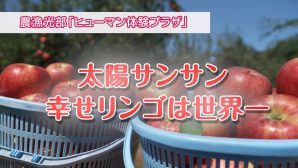 太陽サンサン 幸せリンゴは世界一