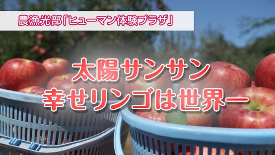 太陽サンサン 幸せリンゴは世界一